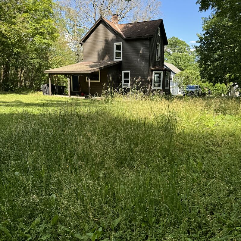 The back of the house seen across a tall summer field