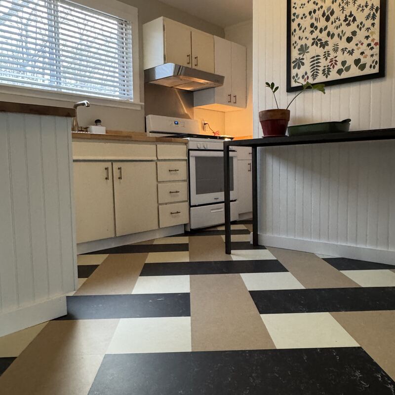 The new kitchen with a black and white checkerboard floor