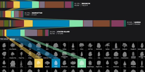 NYC Trees Data Visualization